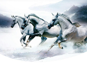 省内排行前十，，，，，，，设计、施工实力排前