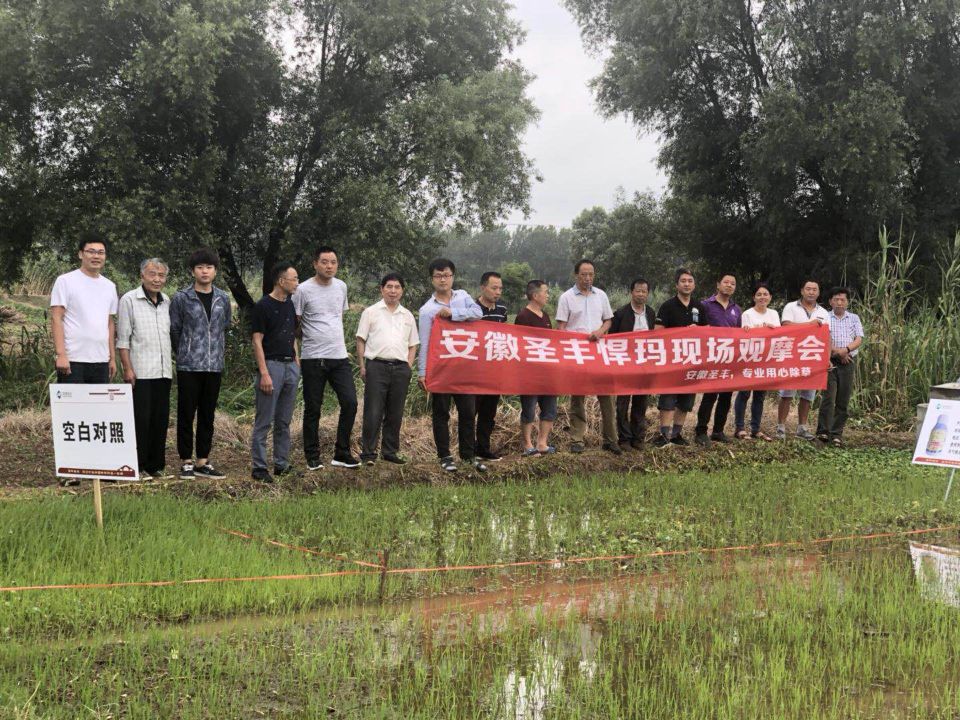 不朽情缘(中国)官方网站